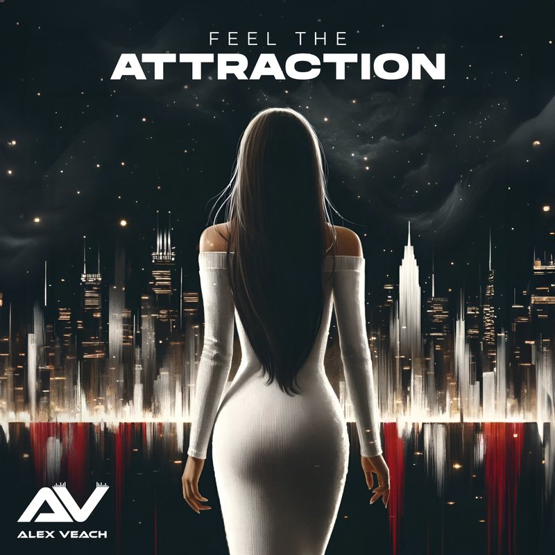 Feel the Attraction (Radio Edit) cover art